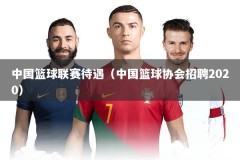 中国篮球联赛待遇（中国篮球协会招聘2020）